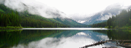Trout Lake Glacier national Park